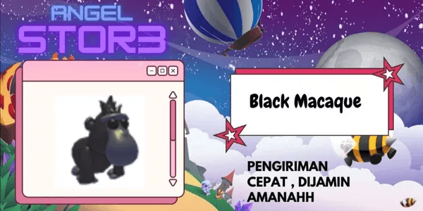 Black Macaque