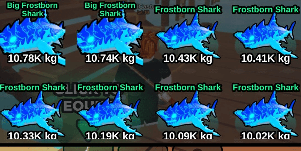 Product Showcase