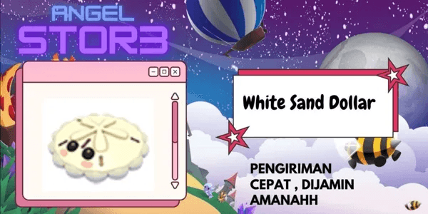 White Sand Dollar