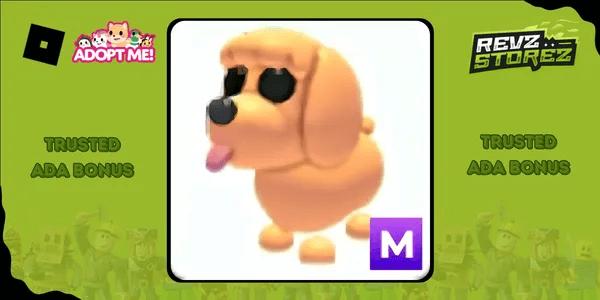 Toy Poodle
