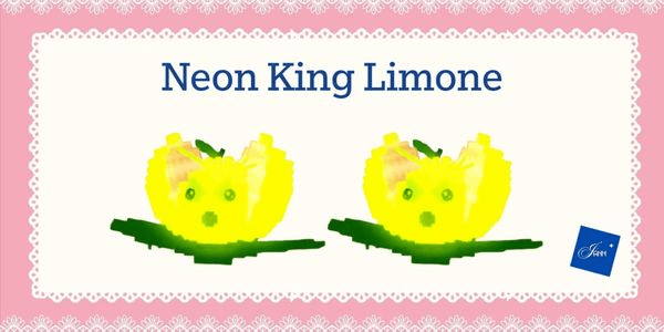 Gambar Product Neon King Limone