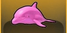 Gambar Product Pink Dolphin