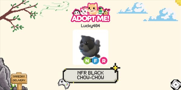 Gambar Product Black Chow-Chow