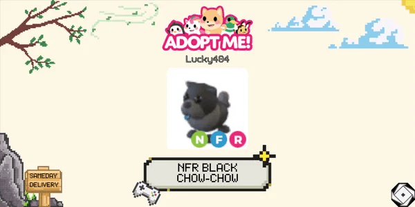 Black Chow-Chow