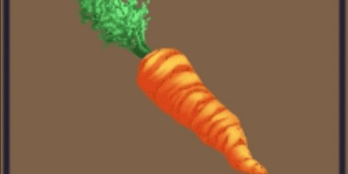 Gambar Product Carrot