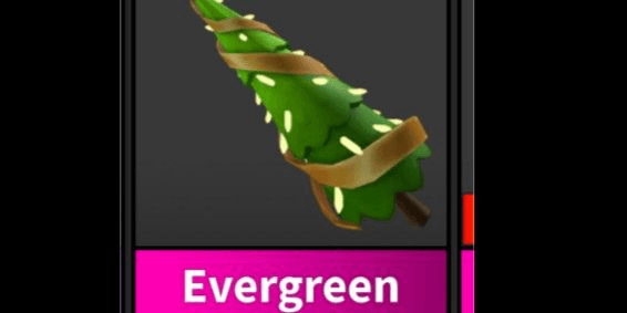 Gambar Product Evergreen