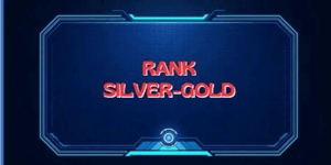 Rank Silver - Gold