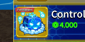 Control (Permanent)