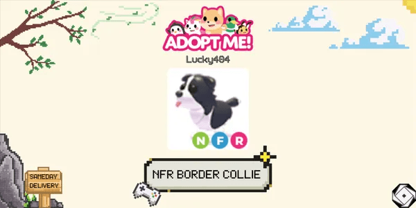 Border Collie