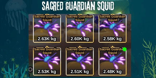 Gambar Product Sacred Guardian Squid