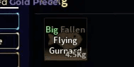 Fallen Flying Gurnard