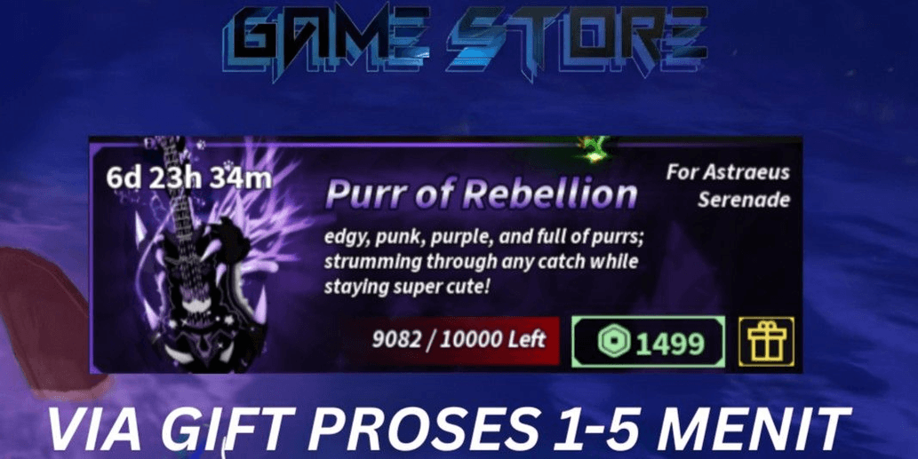 Product Showcase