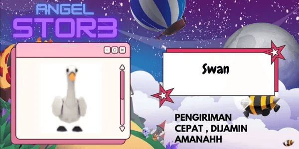 Swan