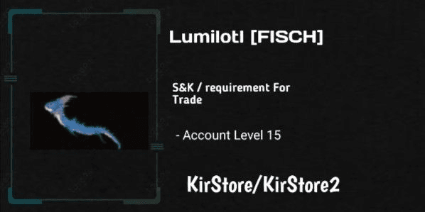 Product Showcase