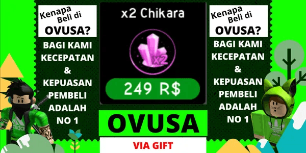 x2 Chikara