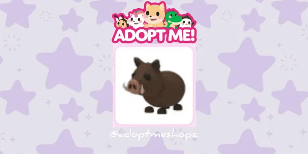 Wild Boar
