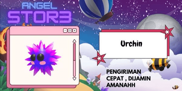 Gambar Product Urchin