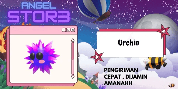 Urchin