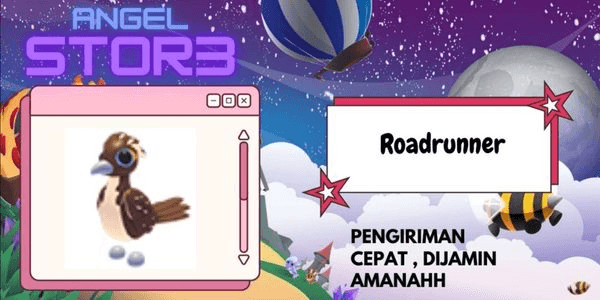 Gambar Product Roadrunner