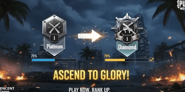 Platinum To Diamond