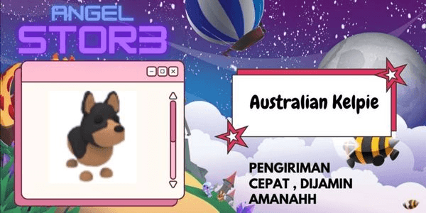 Gambar Product Australian Kelpie