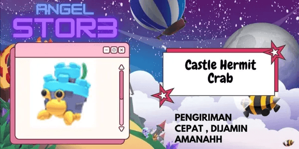 Castle Hermit Crab