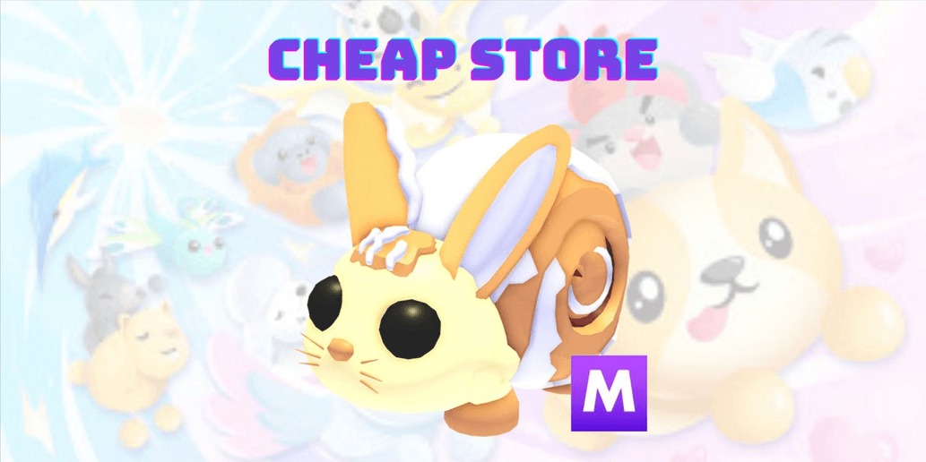 Product Showcase