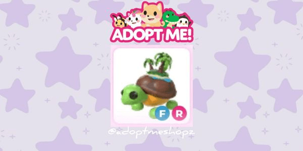 Gambar Product Tortuga de la Isla (Pet)