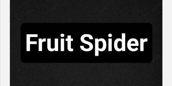 Gambar Product Spider