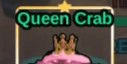 Queen Crab