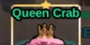 Queen Crab