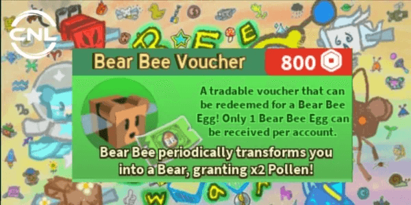 Bear Bee Voucher