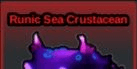 Gambar Product Runic Sea Crustacean