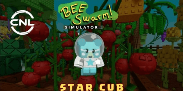 Gambar Product Star Cub