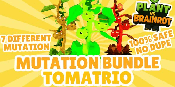 Gambar Product Tomatrio