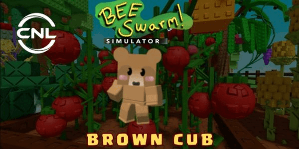 Gambar Product Brown Cub