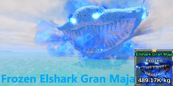 Gambar Product Frozen Elshark Gran Maja