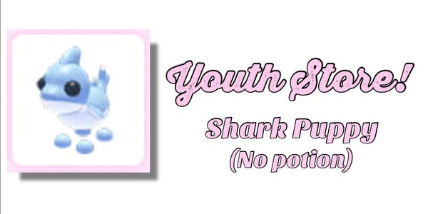 Gambar Product Shark Puppy