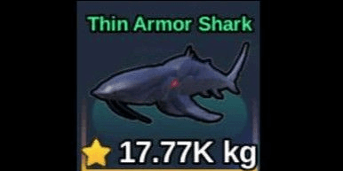 Gambar Product Thin Armor Shark