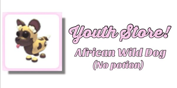 Gambar Product African Wild Dog