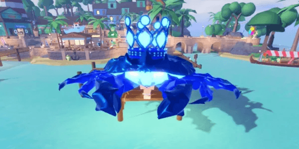 Midnight Queen Crab