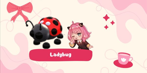 Gambar Product Ladybug