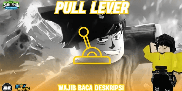 Jasa Pull Lever