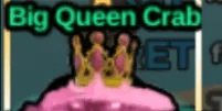 Big Queen Crab