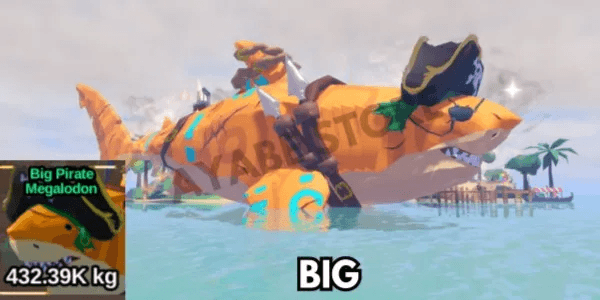 Pirate Megalodon