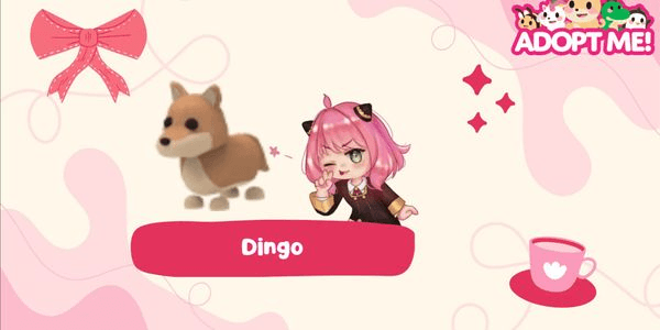 Gambar Product Dingo