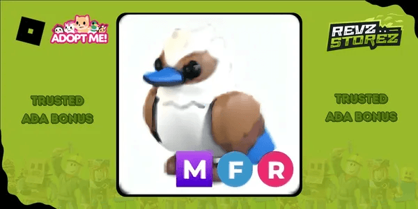 Kookaburra