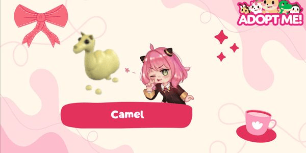 Gambar Product Camel