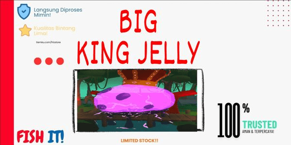 Gambar Product Big Jelly King