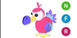 Gambar Product Dodo NFR